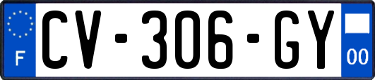 CV-306-GY