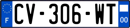 CV-306-WT