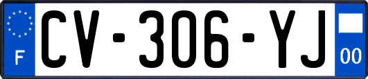 CV-306-YJ