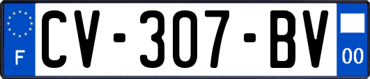 CV-307-BV