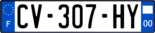 CV-307-HY