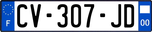 CV-307-JD