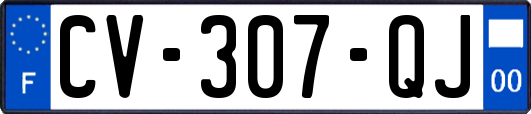 CV-307-QJ