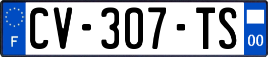 CV-307-TS