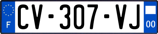 CV-307-VJ