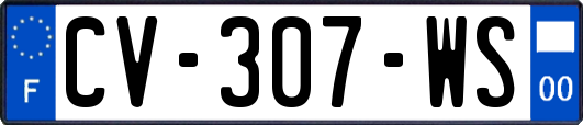 CV-307-WS