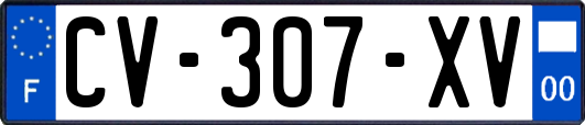 CV-307-XV