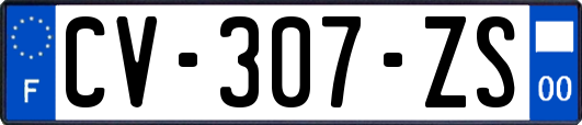 CV-307-ZS