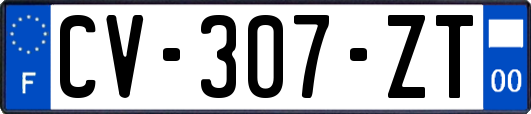 CV-307-ZT