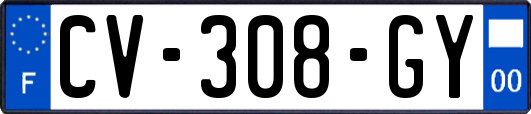 CV-308-GY