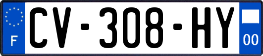 CV-308-HY