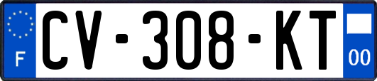 CV-308-KT