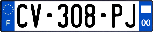 CV-308-PJ