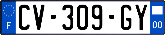 CV-309-GY