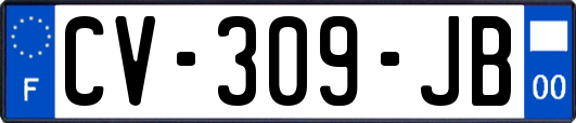 CV-309-JB