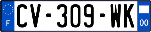 CV-309-WK