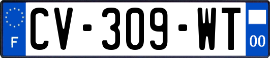 CV-309-WT