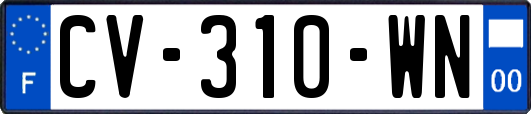 CV-310-WN