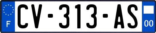 CV-313-AS