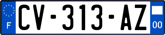 CV-313-AZ