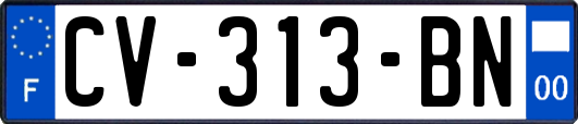 CV-313-BN