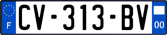 CV-313-BV