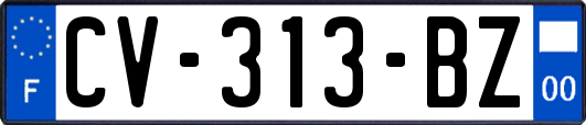 CV-313-BZ