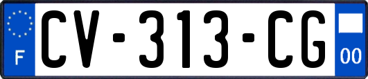 CV-313-CG