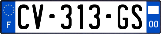 CV-313-GS