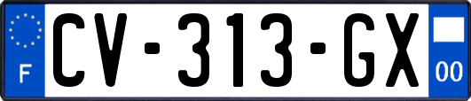 CV-313-GX