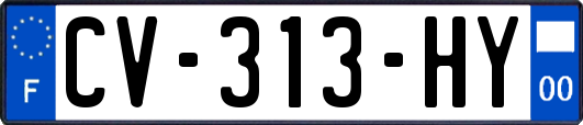 CV-313-HY