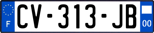 CV-313-JB