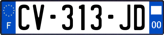 CV-313-JD