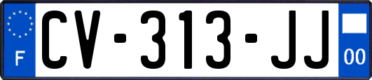 CV-313-JJ