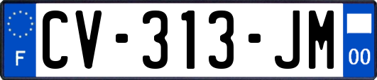 CV-313-JM