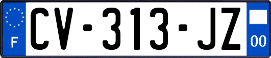 CV-313-JZ