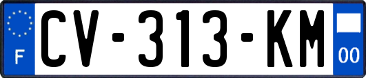 CV-313-KM
