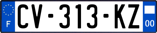 CV-313-KZ