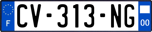 CV-313-NG