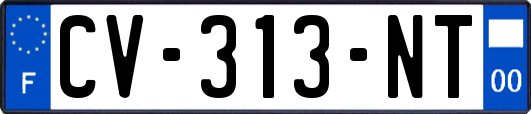 CV-313-NT