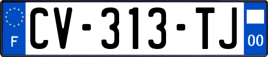 CV-313-TJ