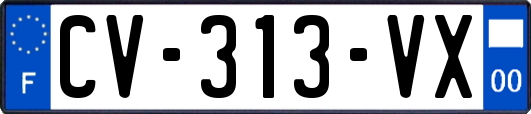 CV-313-VX