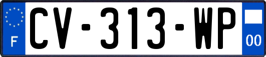 CV-313-WP