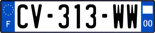 CV-313-WW
