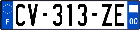 CV-313-ZE