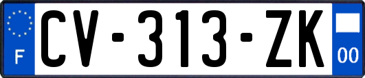 CV-313-ZK