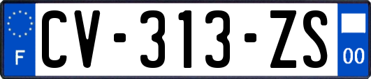 CV-313-ZS