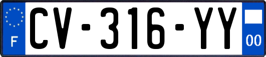 CV-316-YY