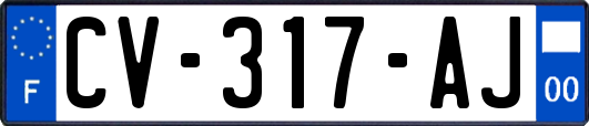 CV-317-AJ
