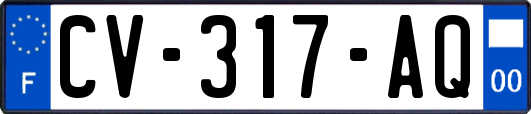 CV-317-AQ